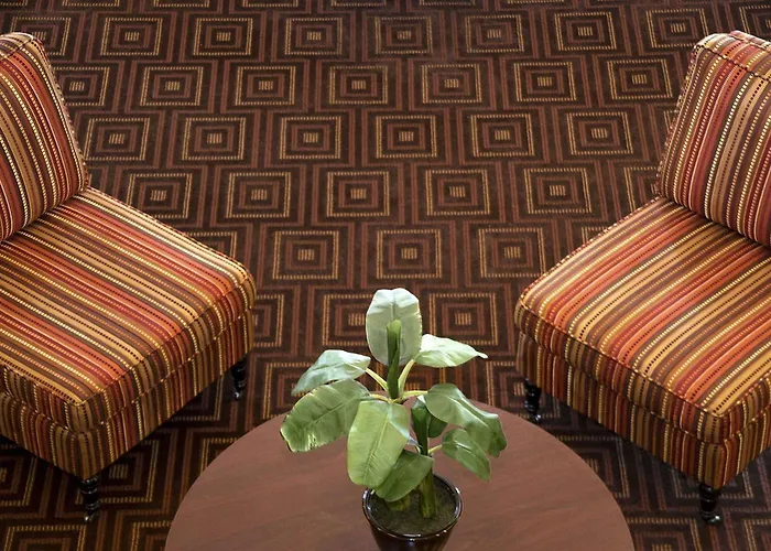 Super 8 By Wyndham Fairview Heights-st. Louis Motel Fairview Heights